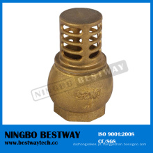 China Fábrica direta de bronze da válvula de verificação do pé (BW-C08)